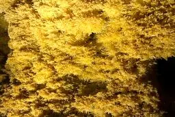 نجات پرماجرای زرین غار