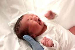 صیغه بارداری؛ ۴۰ میلیون تومان همراه با ماهی یک میلیون نفقه