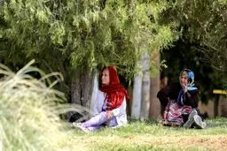 “ایران” رکورد دار سرعت کاهش نرخ باروری