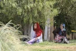 “ایران” رکورد دار سرعت کاهش نرخ باروری