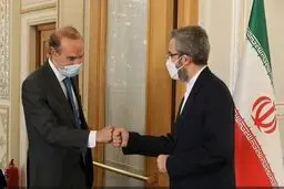 معاون وزیر خارجه چهارشنبه با هماهنگ‌کننده کمیسیون مشترک برجام دیدار می‌کند