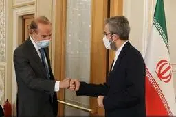 معاون وزیر خارجه چهارشنبه با هماهنگ‌کننده کمیسیون مشترک برجام دیدار می‌کند