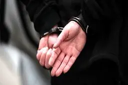 مدیرکل سابق استانداری بوشهر بازداشت شد