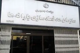 تاکید نظام‌های جدید پرداخت یارانه بر توجه به خانواده‌های کم بضاعت