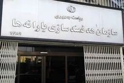 تاکید نظام‌های جدید پرداخت یارانه بر توجه به خانواده‌های کم بضاعت