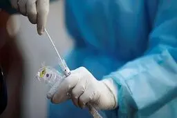 جواب تست PCR قابل اطمینان است؟