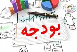 طرح ضدتورمی دولت چیست؟