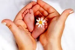 زنان ومردان در ناباروری برابراند