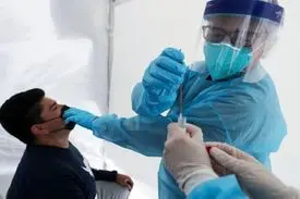 چه کسانی آنتی بادی بیشتری نسبت به ویروس کرونا دارند؟