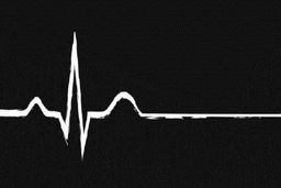 پیش به سوی مرگ به خاطر زیبایی!