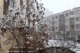 کاهش ۱۵درجه‌ای دما از فردا