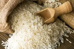 آغاز واردات برنج از اول آذر/ دبیر انجمن واردکنندگان: قیمت کاهش می‌باید