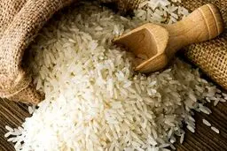 آغاز واردات برنج از اول آذر/ دبیر انجمن واردکنندگان: قیمت کاهش می‌باید