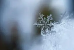 پیش بینی کاهش دما در تهران