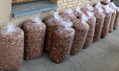 قاچاق عجیب مواد مخدر به کانادا / کشف آجیل‌های تریاکی در فرودگاه