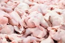 بعد از حذف ارز دولتی، قیمت مرغ و تخم مرغ چقدر می شود؟