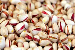 تولید پسته آمریکا از ایران بیشتر شد