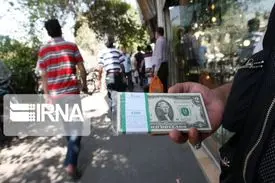 دلارهای خانگی در صف فروش