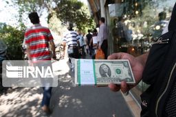 دلارهای خانگی در صف فروش