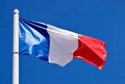 مکرون رنگ پرچم فرانسه را تغییر داد