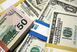 حذف ارز ۴۲۰۰ تومانی از بودجه ۱۴۰۱