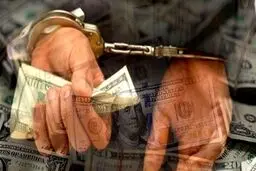 ۵ اخلالگر شاخص بازار ارز تهران دستگیر شدند
