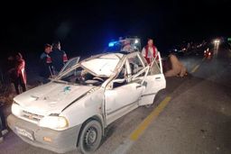 برخورد پراید با شتر در گنبدکاووس چهار مصدوم برجا گذاشت