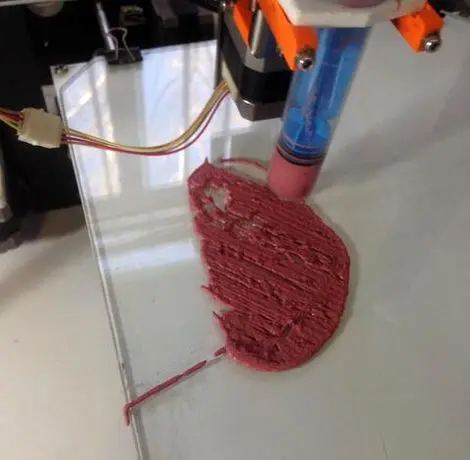 تولید گوشت گیاهی از نخود و برگ چغندر در دانشگاه تهران