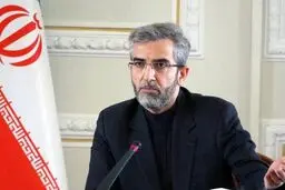 باقری: توقف مذاکرات خواست ما نبود