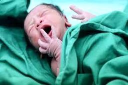 قاعده هرم جمعیتی کشور در حال کوچک شدن است / هشت سال فرصتِ جبران داریم