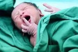 قاعده هرم جمعیتی کشور در حال کوچک شدن است / هشت سال فرصتِ جبران داریم