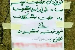 بازار خرید و فروش نوزاد داغ است!