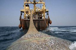 صید ترال چینی ها هنوز ادامه دارد؟