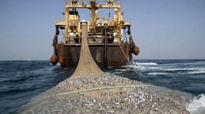 صید ترال چینی ها هنوز ادامه دارد؟