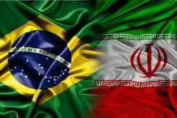 ۶۰ درصد از واردات کالاهای اساسی کشور از برزیل است