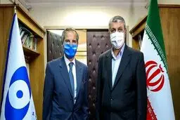 دیدار رافائل گروسی با محمد اسلامی