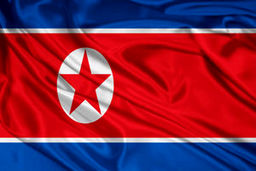 اعدام برای یک دانش آموز در کره‌شمالی به دلیل یک بازی