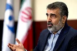 کمالوندی: مذاکرات «ناتمام» با آژانس ادامه دارد/ دنیا باید واقعیت هسته‌ای ایران را بپذیرد