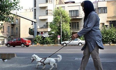 ماجرای طرح مجلس برای مجازات نگهداری از حیوانات خانگی چیست؟