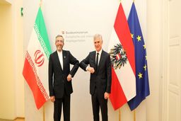 دیدار باقری با وزیر خارجه اتریش/ رایزنی درباره مذاکرات وین