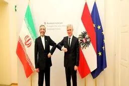 دیدار باقری با وزیر خارجه اتریش/ رایزنی درباره مذاکرات وین