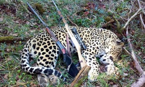 جزئیات مشاهده خودروهای لاکچری با پلاک ‌قطر در بوشهر