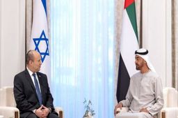 امارات مخالف انزوای ایران و استفاده از گزینه نظامی علیه آن است