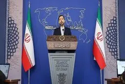 خطیب زاده: در وین هستیم تا در اولین فرصت به توافقی خوب برسیم