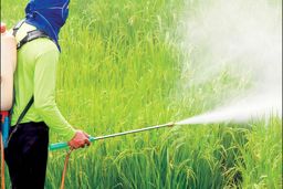 ۲۳ درصد سموم مورد استفاده کشورمان پرخطر است