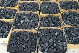 تولید دستگاه “زغال فشرده” بدون نیاز به قطع درختان