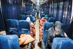 جمع آوری تنها پناه اتوبوس خواب ها!!