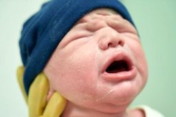 نوزادی در سطل زباله