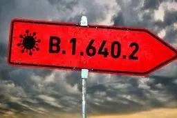 سویه فرانسوی کرونا