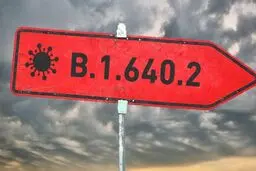 سویه فرانسوی کرونا